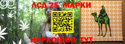 mix Дубна