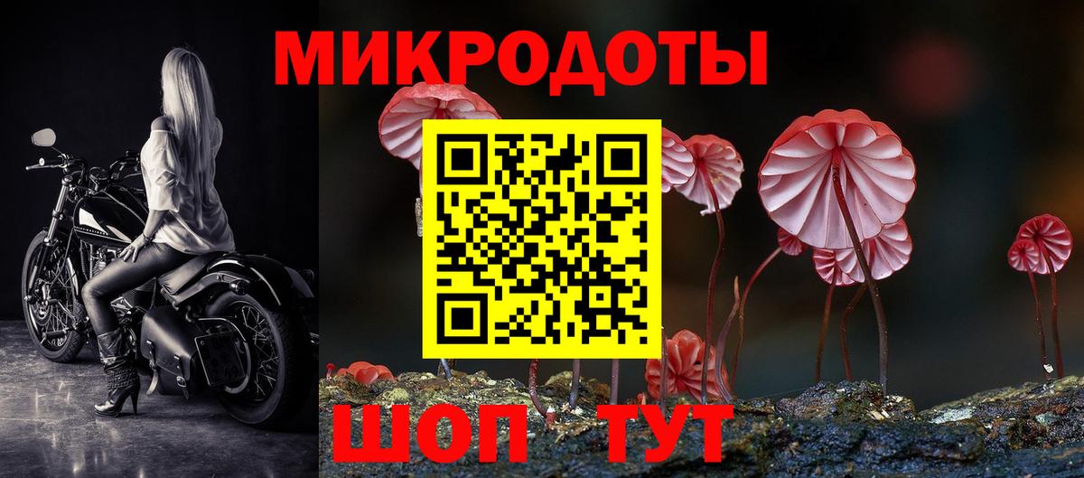 Златоуст  Галлюциногенные грибы мухоморы  Вход с VPN  Галлюциногенные грибы Psilocybe 
